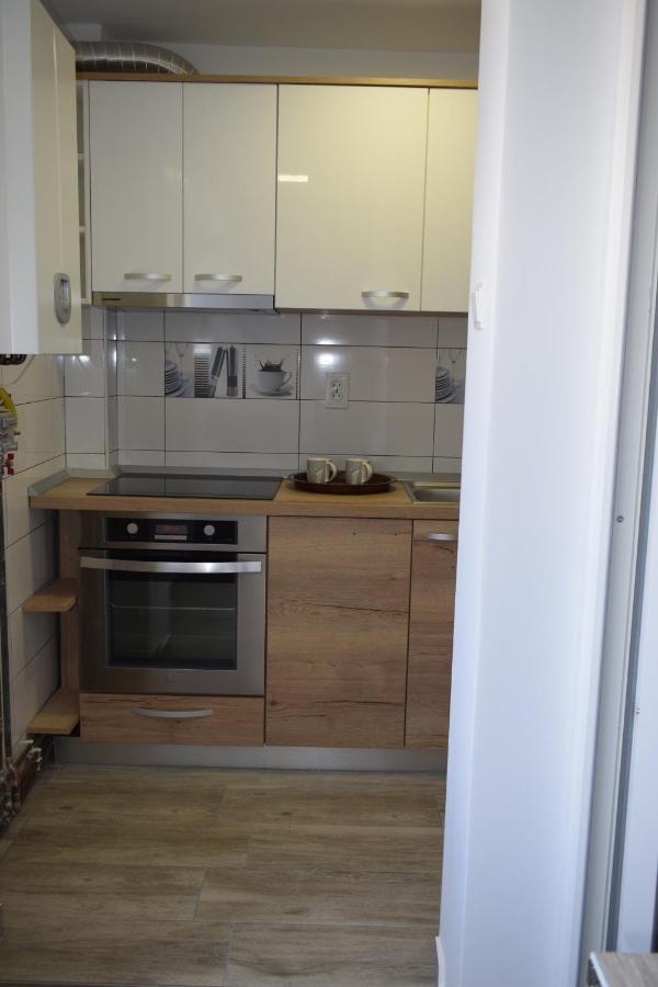 Apartament Palatul De Justitie Rhbm Бая-Маре Экстерьер фото